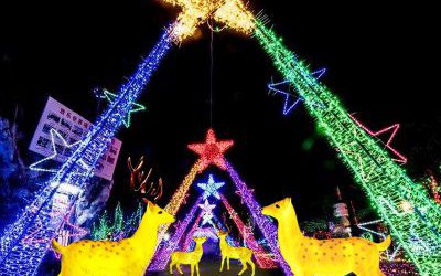 公園景區(qū)玻璃鋼彩繪照明發(fā)光梅花鹿雕塑