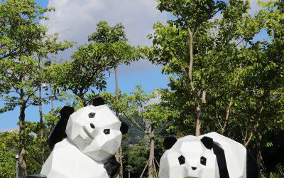 花園廣場擺放幾何創(chuàng)意玻璃鋼卡通熊貓雕塑