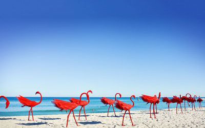 海邊玻璃鋼創意火烈鳥雕塑