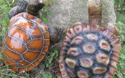 公園草坪玻璃鋼彩繪仿真動(dòng)物烏龜?shù)袼?>
	                <div>公園草坪玻璃鋼彩繪仿真動(dòng)物烏龜?shù)袼?/div>
	            </a>
	        	            <a href=