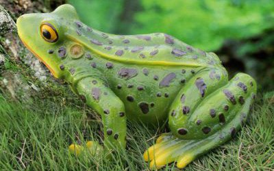 草坪玻璃鋼彩繪仿真青蛙雕塑