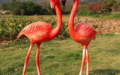 海邊擺放兩只站立的玻璃鋼火烈鳥雕塑