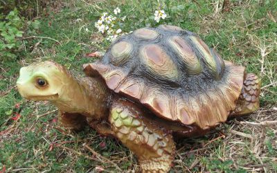 公園創(chuàng)意玻璃鋼仿真動(dòng)物烏龜?shù)袼?>
	                <div>公園創(chuàng)意玻璃鋼仿真動(dòng)物烏龜?shù)袼?/div>
	            </a>
	        	            <a href=